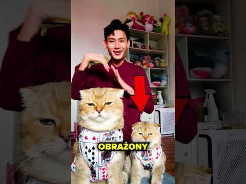 ZROBIŁ WSZYSTKO ABY JE USZCZĘŚLIWIĆ!😢❤️
