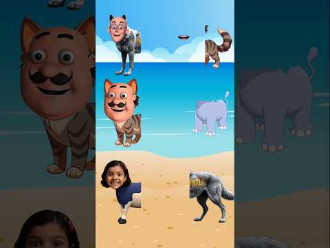 Billi ka muh New viral cat tools gadgets home appliances smart gadgets #shorts