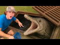 Exploring Sewers for Exotic Fish