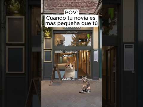 POV : Cuando tu novia es pequeña que tú #shortsfeed #memesgatos