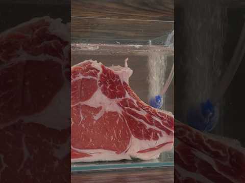 Sea Water SOAKED Steak!