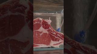 Sea Water SOAKED Steak!
