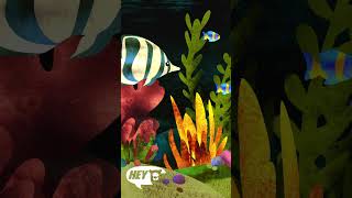 Hey Bear Sensory Aquarium #relax #underthesea #calm