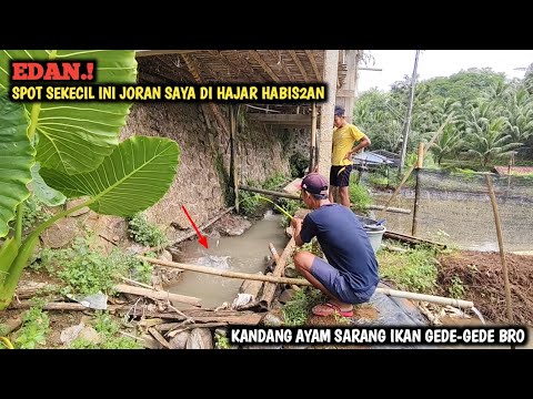 YA TUHAN.!! MANCING DI BAWAH KANDANG AYAM IKANNYA DI LUAR DUGAAN || SI BOCIL SAMPA TERHERAN-HERAN