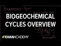 Exploring Biogeochemical Cycles in Ecosystems