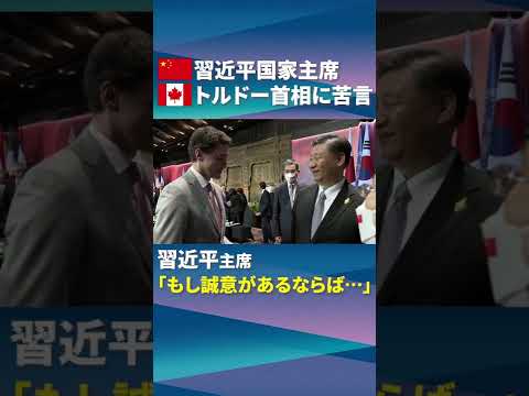 【習近平・中国国家主席】カナダのトルドー首相に「苦言」（日経ショート） #shorts