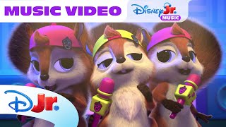 Squirrel Concert 🎤 | SuperKitties ⭐ | Disney Jr. MENA