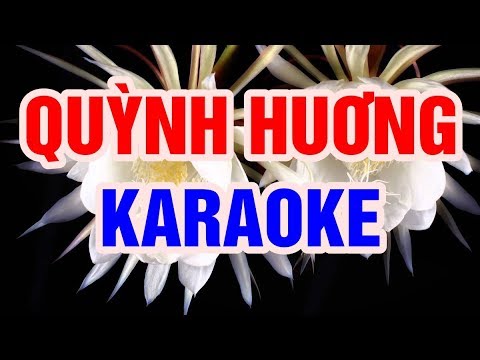 Quỳnh Hương  – Karaoke Beat Chuẩn 2018 || Nhạc Sống Thanh Ngân