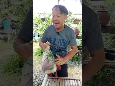 ไหนบอกว่าลดน้ำหนัก