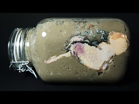 Human time lapse? No! CHICKEN in concrete? Yes!