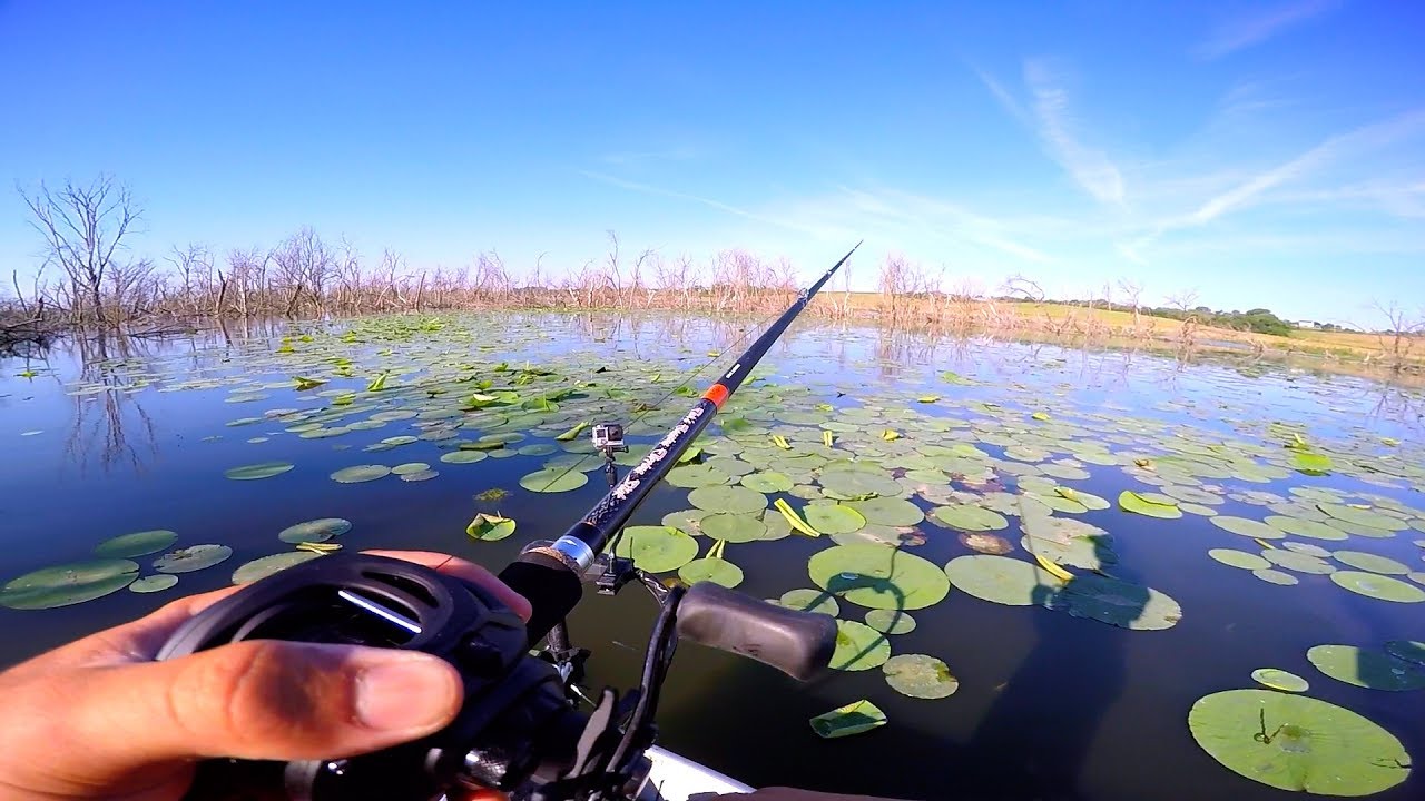 Fishing BIG Worms for BIG Bass