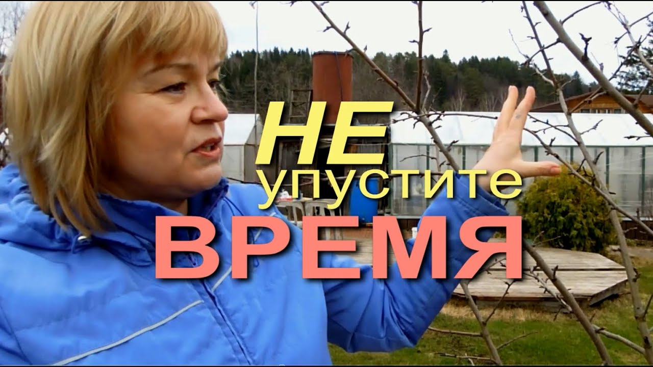 Не упустите время! Сделайте это обязательно ранней весной!