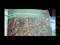 Plant Processes and Nutrient Functions