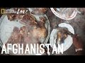 Evolution of Diet and Kyrgyz Community
