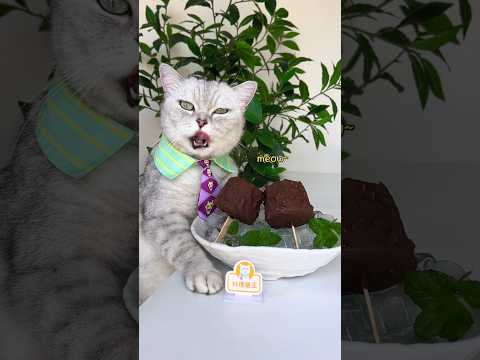 Taste A Crispy Mango Ice Cream Bite This Summer!🥭🍦 #catsofyoutube #foodlover #tiktok