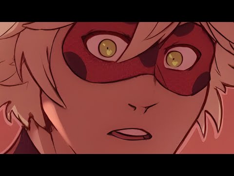 Lady Noir is MISSING!?
