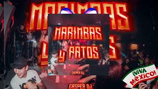 Marimbas y Patos - Cumbiaton Sonidero - GasperDJ Mx  OFB ❤️ Tiestoriki