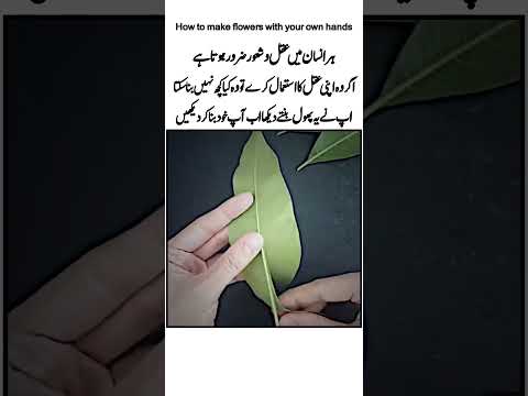 How to make flowers with your own hands|Best Quotes|Golden Words|Inspiration|#shorts