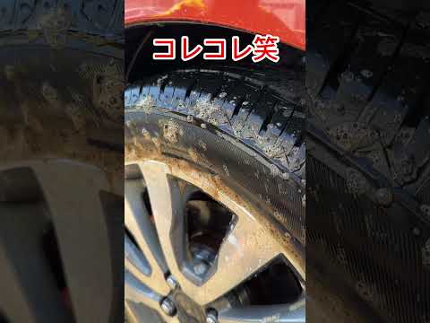 タイヤホイールクリーナー使って実際にひび割れた人おるん？#shorts #洗車