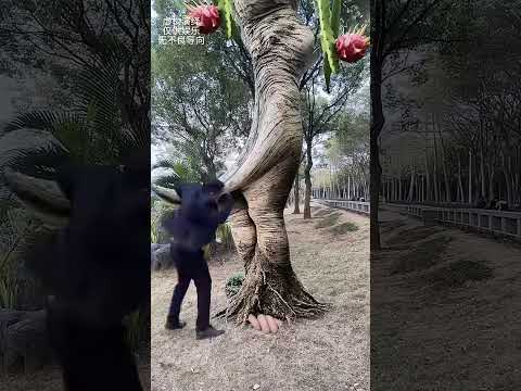 It turns out that fruit trees also have three urgent dragon fruit trees Magical big tree mobile