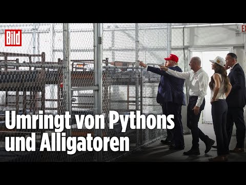 Trump eröffnet Abschiebeknast „Alligator Alcatraz“