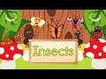 Insect Characteristics and Anatomy