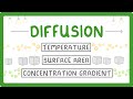 Understanding Diffusion