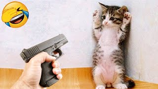Try Not To Laugh 😂 Funny Animals Videos Of Cats🐈 And Dogs🐕 2025 Part .03