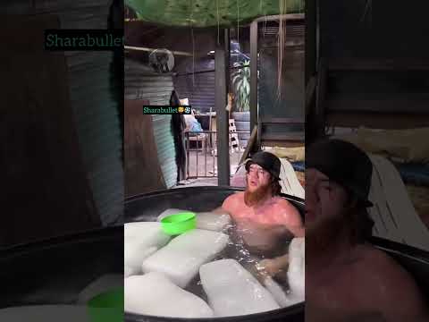 Sharabutdin the pirate❄️🐺 #foryourpage #fypyoutube #fyp #foryou #mma #ufc#ufc308#sharabullet#shorts