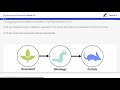 Population Dynamics in SIM Activity