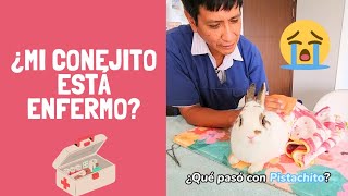 Mi conejito está enfermo? El veterinario vino a nuestra casa ~ Pistachio y Baby Mochi los conejitos
