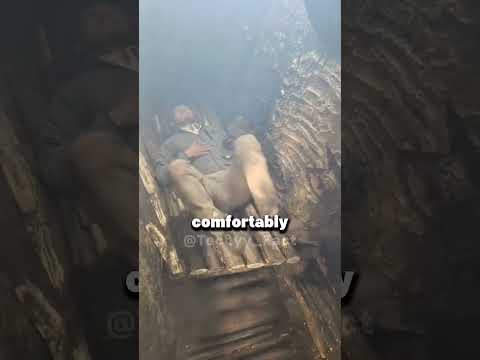 Vietnam’s Incredible Tree Trunk Houses