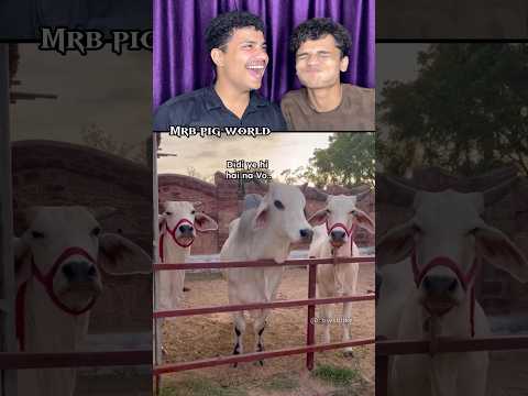 TRY NOT TO LAUGH 😂||WAIT FOR END||MRB PART-634