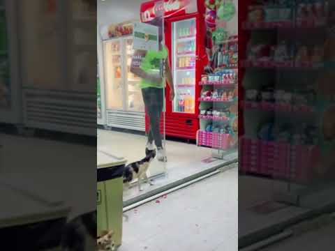 No merecemos la empatía de los animales #todos #cat #catlover #cats