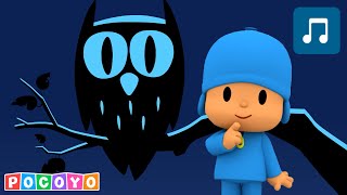 🐦 ¡¿Pocoyó Descubre un Nuevo Amigo Pájaro?! | POCOYÓ en ESPAÑOL LATINO CANCIONES y DIBUJOS ANIMADOS