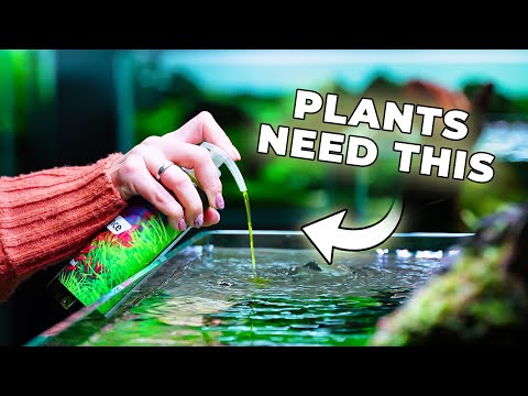 The Ultimate Guide to Choosing Liquid Fertilizers for Aquascaping