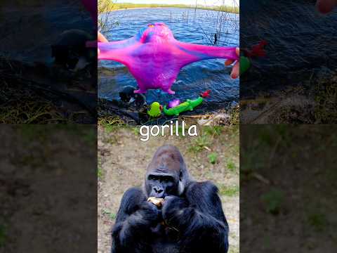 Animal Names for Kids to Learn at the Lake: Rooster Eagle Gorilla Bear Wildebeest