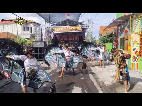 Jaranan Setiyo saputro live petiken Driyorejo Gresik