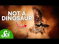 Understanding Prehistoric Creatures