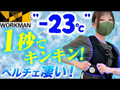 【瞬間冷却】ワークマンのペルチェベスト!電気で冷やす不思議な服。水冷服より冷えるか?