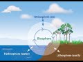Biosphere and Ecosystem Concepts