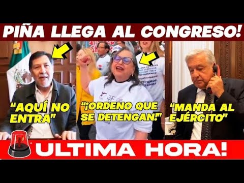 ADIOS AL PODER JUDICIAL!!! CORREN A NORMA PIÑA ¡MILES TOMAN EL SENADO! PIDEN SU CHOYAA.