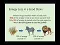 Energy Flow in Ecosystems
