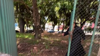 TikTok #funny