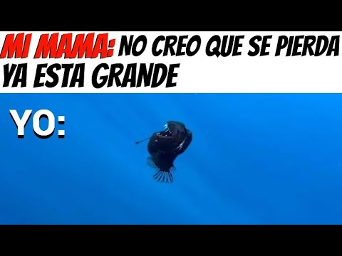 MEMES VARIADOS #715 | PEZ ABISAL MEMES | ANZUTOPS777