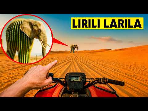 DRONE catches LIRILI LARILA ESCAPING in REAL LIFE!! (it's a TRAP!) ITALIAN BRAINROT