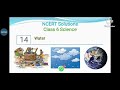 Water Cycle and Conservation Concepts