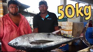 Yellowfin Tuna 50 KG Fish Cutting in sri lanka #trending #shorts #fish