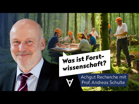 Was ist Forstwirtschaft