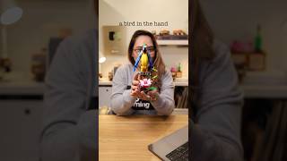 What does A BIRD IN THE HAND mean? 🤔 #learnwithlyqa #cse #civilserviceexam #idioms #idiomacy